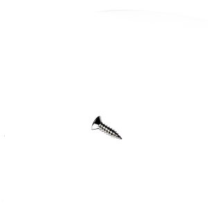 SS CSK Screw