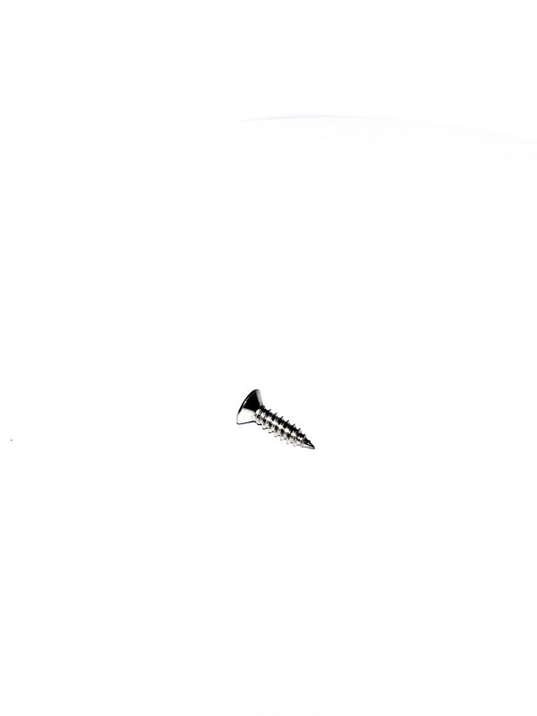 SS CSK Screw