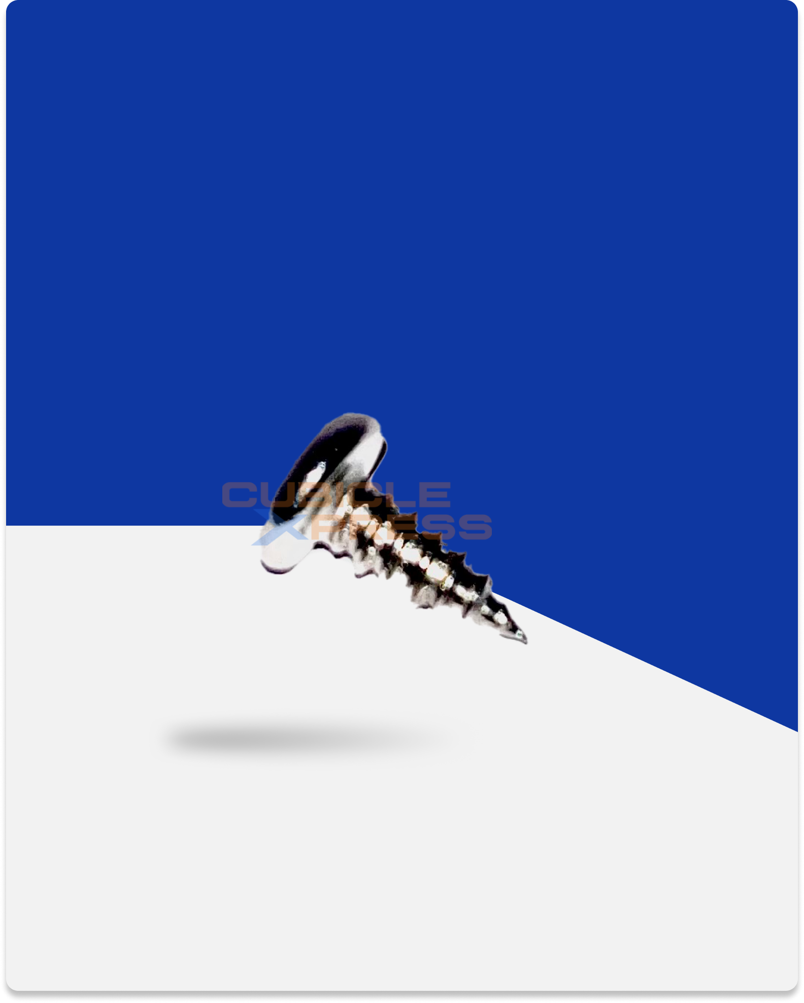 SS PAN Screw 6mmx13mm