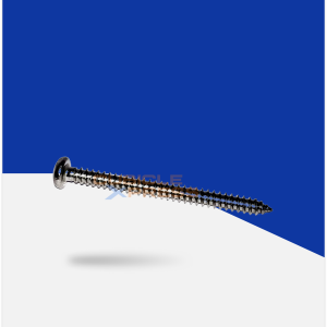 SS PAN Screw 8mmx50mm