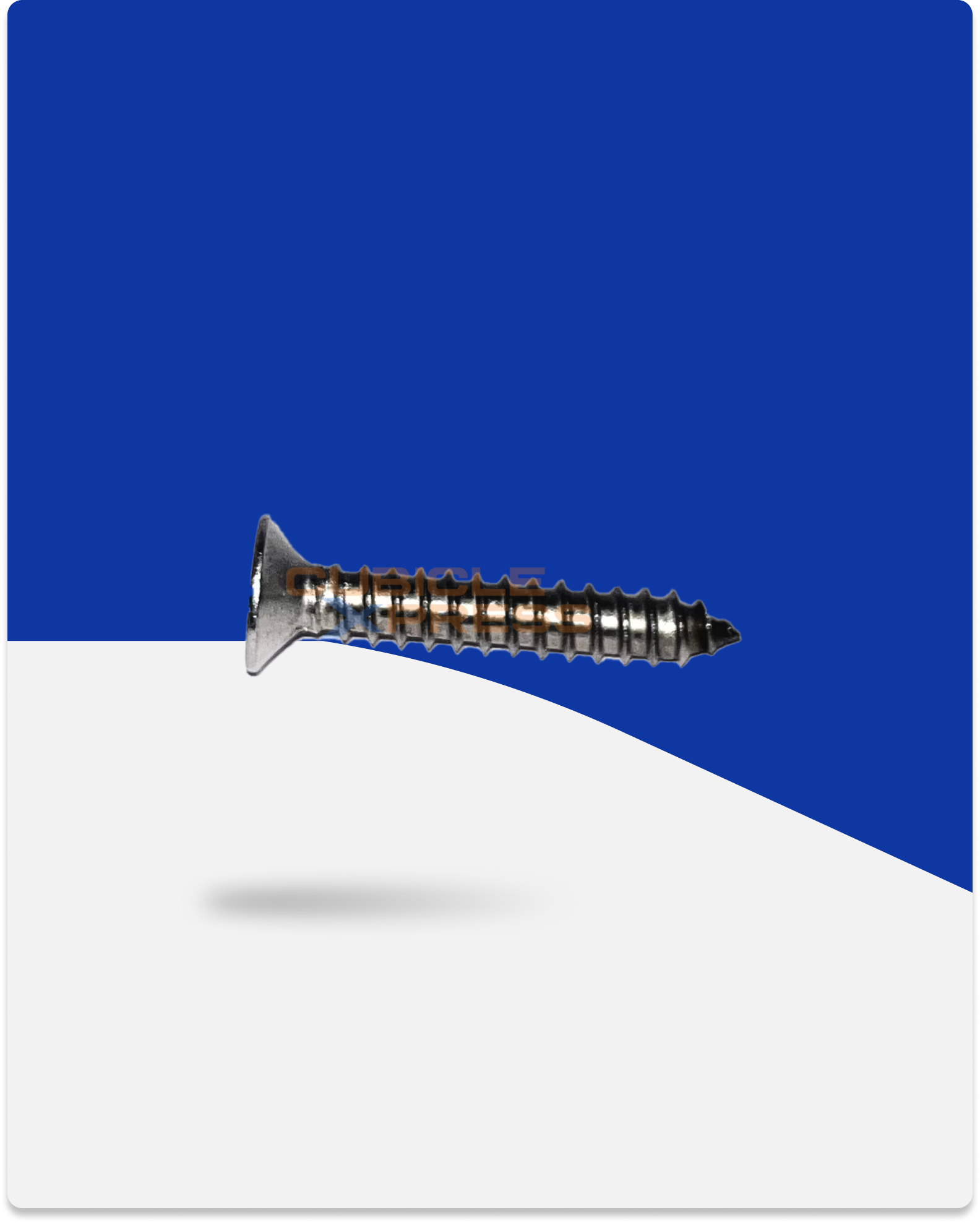 SS CSK Screw 8mmx25mm