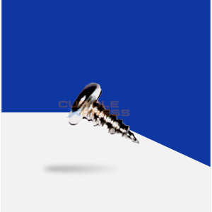 SS PAN Screw 6mmx13mm