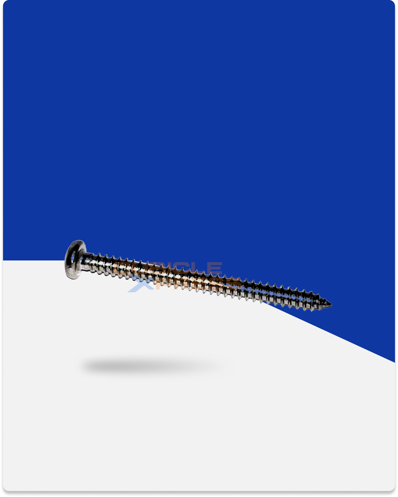 SS PAN Screw 8mmx50mm