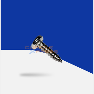 SS PAN Screw 8mmx9.5mm