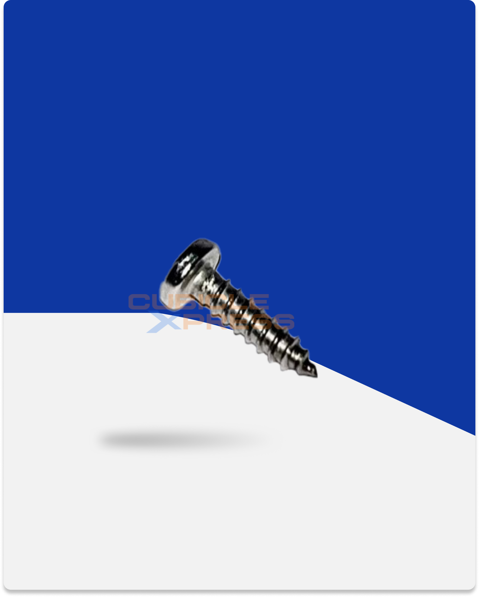 SS PAN Screw 8mmx9.5mm